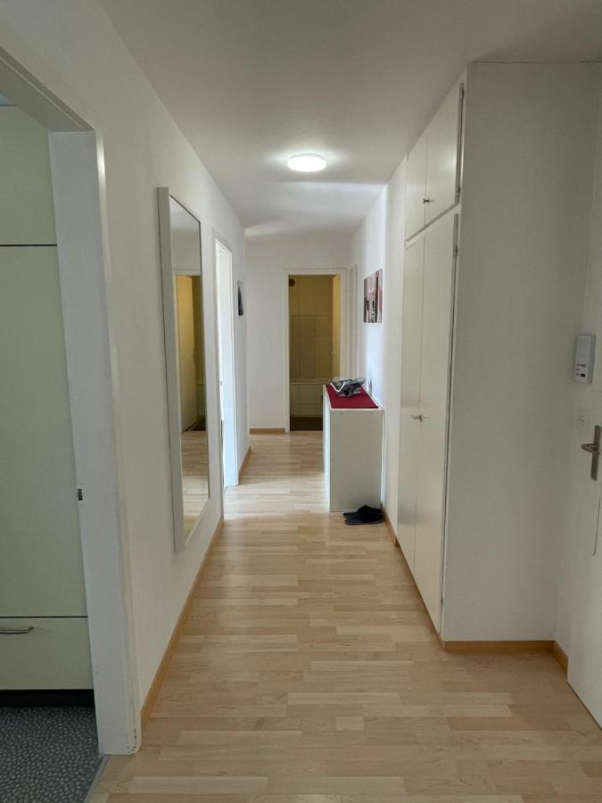 3-Room Apartment For Business Travelers & Families, Free Wifi & Tv With 70 Countries, Dazn, Sky, Netflix & Disney Wynau Zewnętrze zdjęcie